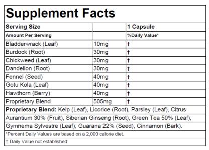 Dr. Infantino's Thermogenic Appetite Appeaser - Image 2